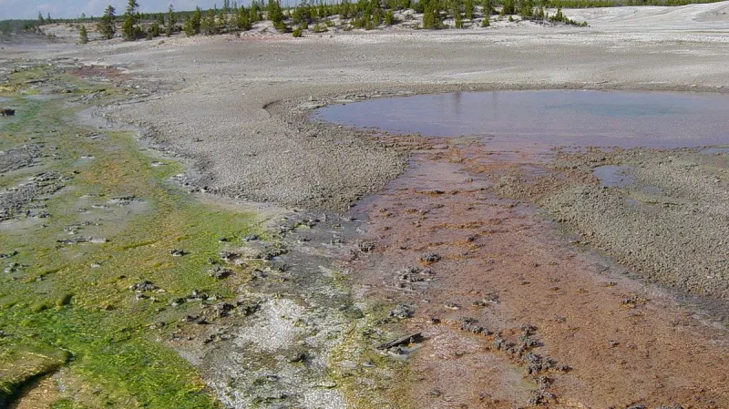 Okolí Norrisova gejzíru