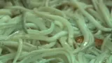 Pesto z úhořů