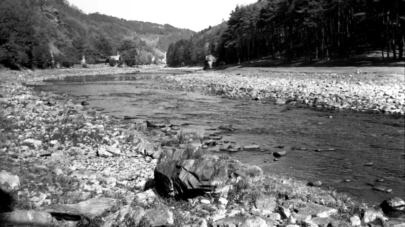 Vysychající koryto Sázavy (1947)