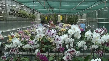 Sbírku orchidejí univerzita stále rozšiřuje