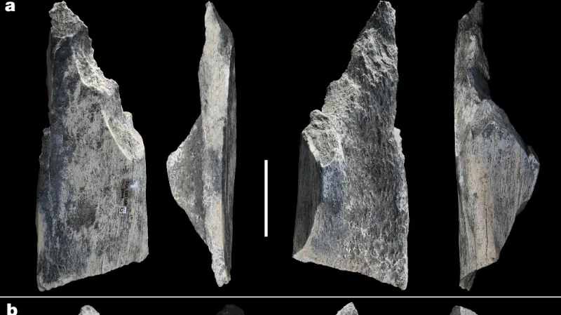 Nově objevené nástroje z Olduvaie