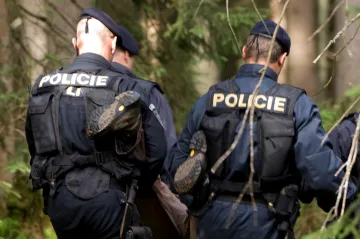Část odpůrců kácení na Šumavě uspěla u Ústavního soudu. Postup policie nebyl dostatečně vyšetřen
