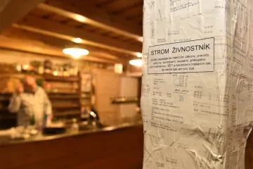 Ve zlínské hospodě vyrostl na protest proti EET strom Živnostník