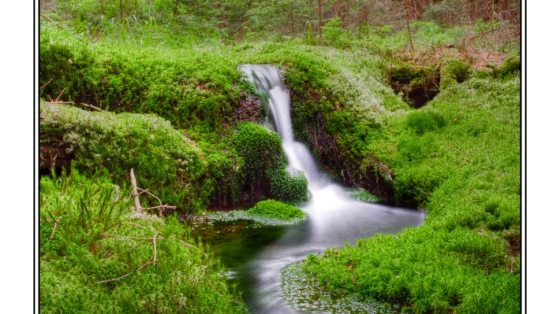 Příroda vojenského újezdu v Brdech