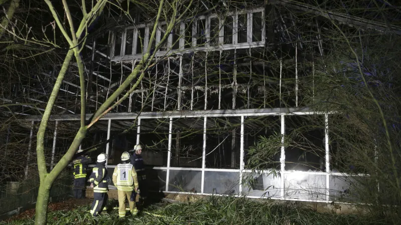 Vyhořelý pavilon opic v krefeldské zoo