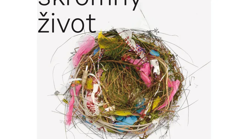 Čistý, skromný život