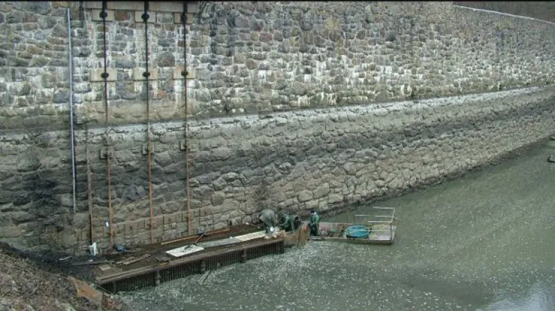 NO COMMENT: Stěhování ryb