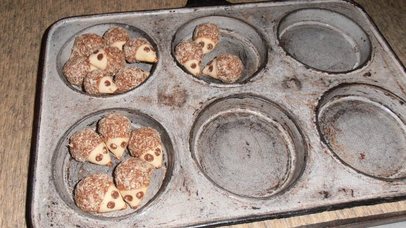 Do lívanečníku se nastěhovali ježci