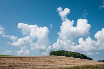 V závěru prázdnin se vrátí letní teploty, o víkendu má být kolem 25 stupňů