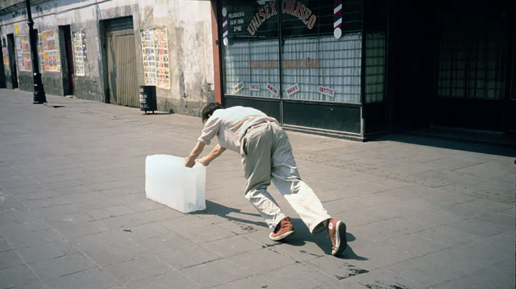 Francis Alÿs / Paradox of Praxis