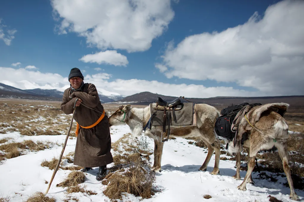„Chceme zachovat tradici chovatelství sobů tak, jako to dělali naši předkové,“ řekl agentuře Reuters kočovník Chuluu.