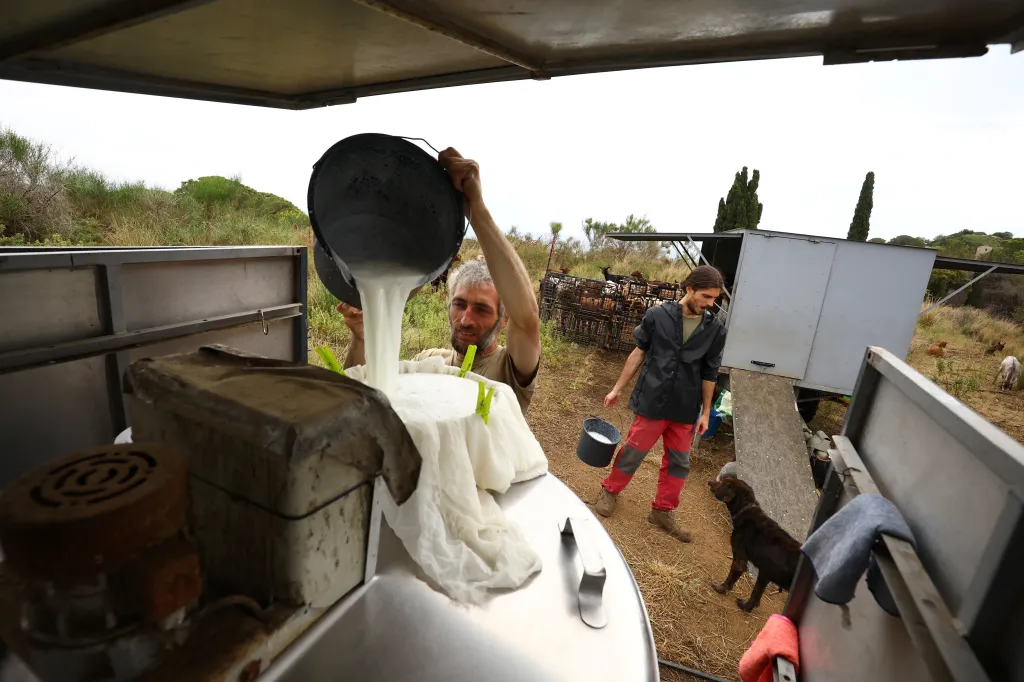 Francesc Teixido a Pedro Alba jsou obchodní partneři, kteří se nedávno rozhodli zanechat své předešlé životy a začít žít jako nomádští chovatelé koz