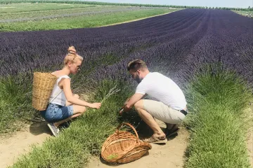 Jako v Provence. U Staroviček mohou turisté relaxovat mezi fialovými lány levandule 