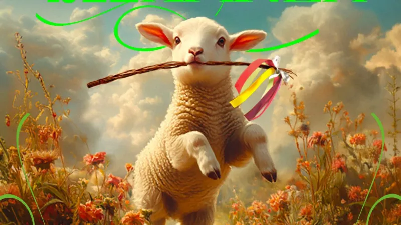 Kampaň organizací Amnesty International a Konsent