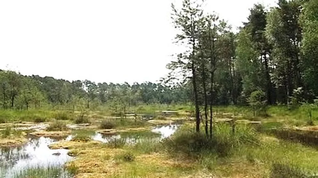 CHKO Kokořínsko