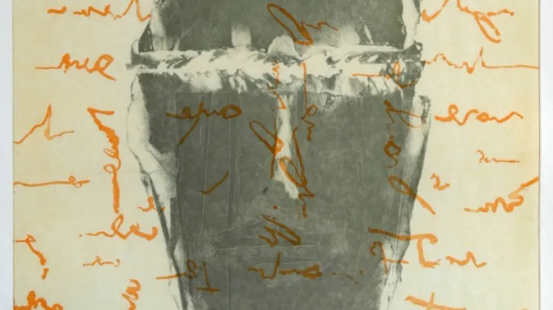 Dílo Adriany Šimotové