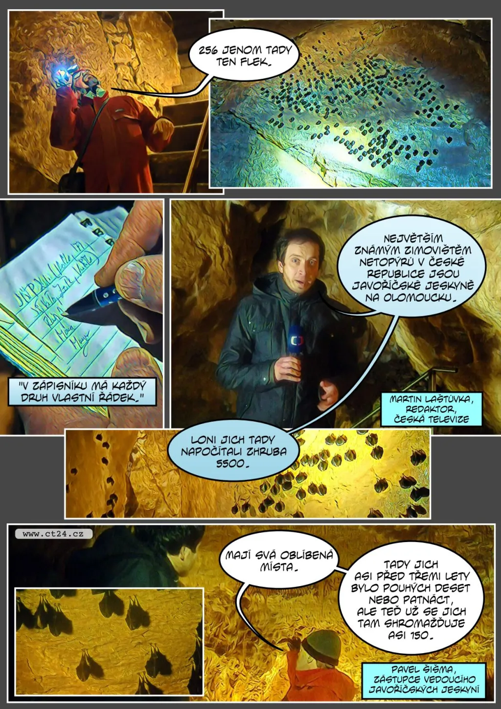 Zoologové zaznamenali rekordní počet netopýrů