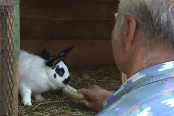 Prasklice se postupně mění ve vesničku pro seniory