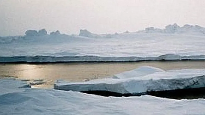 expedice Ny-Ålesund