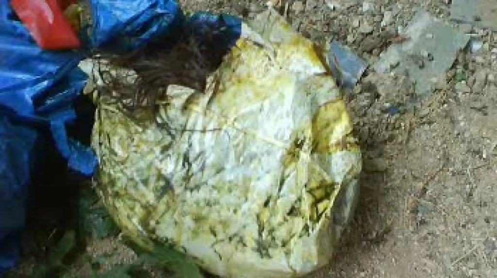 Hrůzný nález v Ústí nad Labem