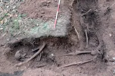  Amatér našel v lese u Rozdrojovic vojenský hrob. Odborníci v něm identifikovali Sověty