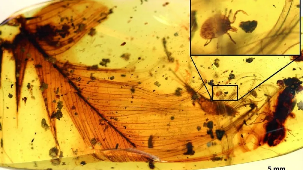 Klíště na dinosauřím peru