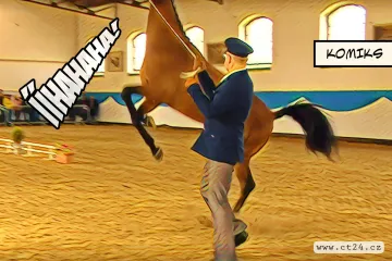 Hřebčinec v Písku předvedl své plemeníky