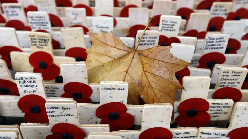Vlčí máky na Field of Remembrance v britském Westminsteru
