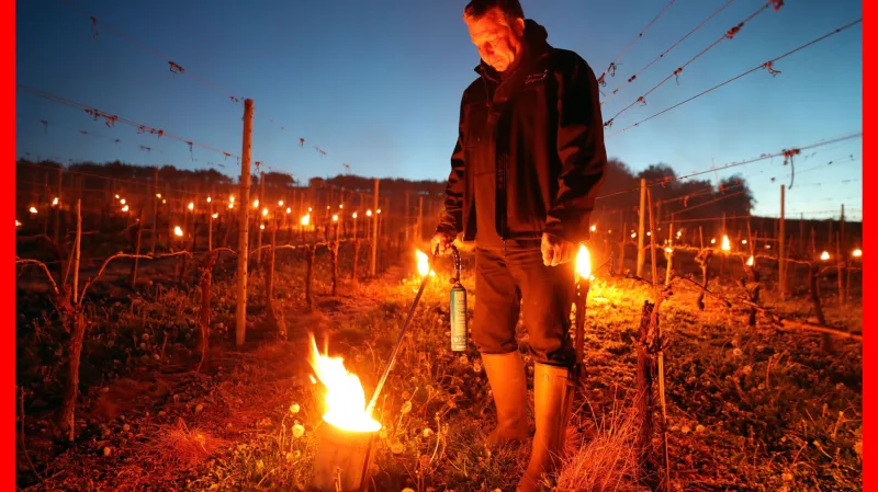 Parafínové svíce jako nejúčinnější opatření proti mrazům