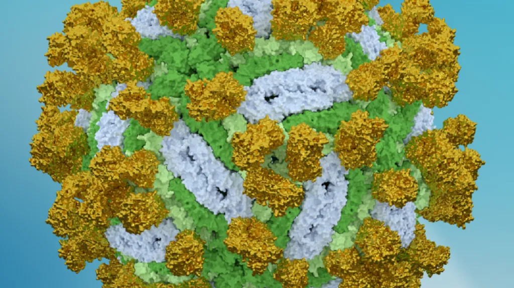 Virus klíšťové encefalitidy s navázanými protilátkami