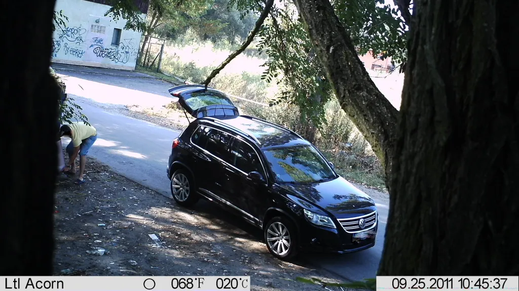 Snímek z fotopasti v Břeclavi, umístěné na místě černé skládky