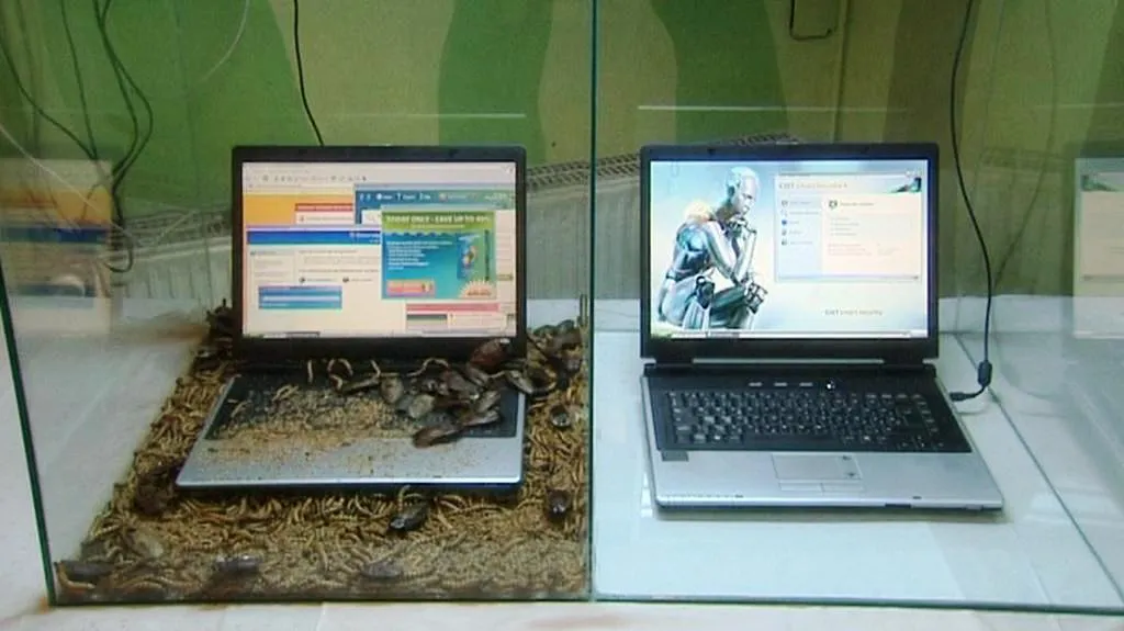 Kybernetická bezpečnost