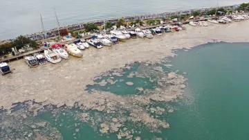 Ekologická katastrofa v Marmarském moři. U břehů Istanbulu hladinu pokryl sliz