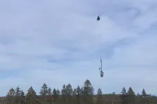 Vrtulníky čistí lesy na Broumovsku. Pomáhají odvážet stromy napadené kůrovcem