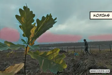 Dříve se tu těžilo uhlí, teď tu má vyrůst les