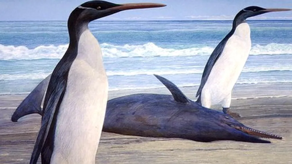 Vyhynulý velký tučňák
