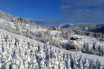 Policie obvinila deset osob z hospodářských zločinů na radnici Pece pod Sněžkou a správě KRNAP 