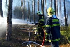 Na kraji Plzně vzplál les, plameny zasáhly dvanáct hektarů