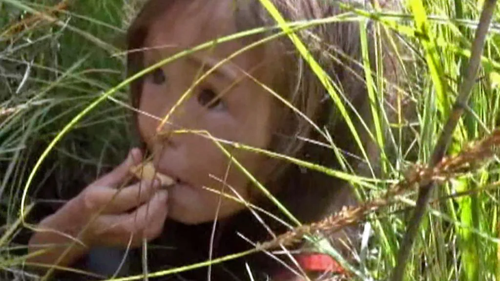 Tříletou Karinu našli záchranáři ve vysoké trávě