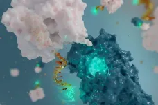 Chemici vyrobili z DNA nejmenší anténu světa, měří jen pět nanometrů