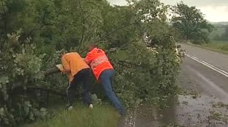 Odklízení stromu ze silnice