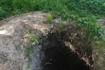 Hledači vltavínů ničí pole i lesy. Na jihu Čech se bojí, že jich ještě přibyde