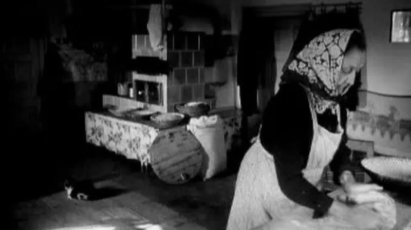 Reportáž Lucie Klímové