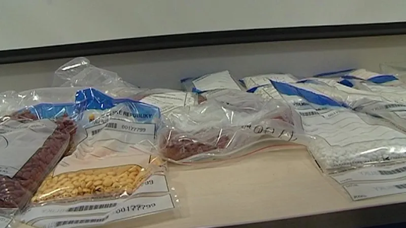 Jihlavská policie zadržela sedm lidí, kteří vyráběli a prodávali drogy.