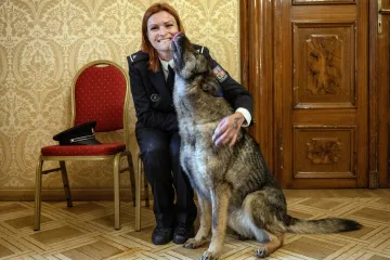 Ocenění v anketě Statečné psí srdce získalo šest chlupatých hrdinů