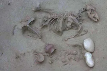 Ani smrt nás nerozdělí. Starověcí Italové se nechávali běžně pohřbívat se svými zvířaty