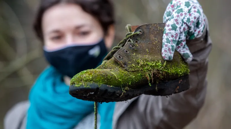 Úklid v Královéhradeckém kraji