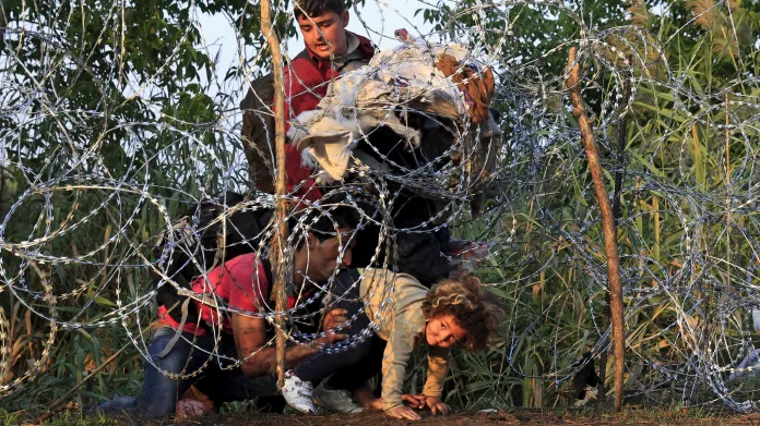 Syrští migranti podlézají plot na srbské straně hranice s Maďarskem, v blízkosti Röszke