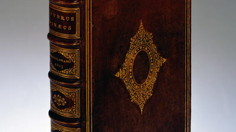 Kniha De integritatis & corruptionis virginum notis pojednávající o panenství, kterou Ludovic Bouland rovněž nechal svázat do lidské kůže. Spis vznikl v sedmnáctém století