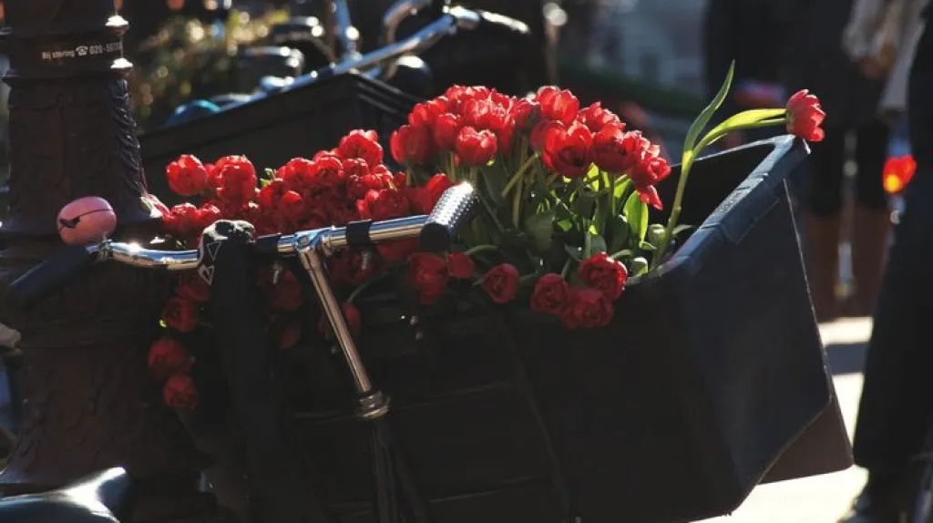 Cyklistika v Amsterdamu